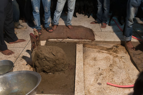 Sacrificial killings during Kaali Puja in Bangladesh