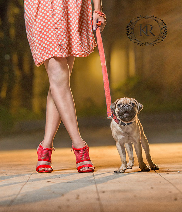 KR Shoes: Collection -2015